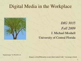 Digital Media in the Workplace