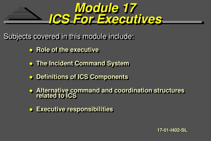 module 17 ics for executives