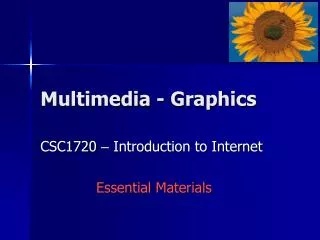 Multimedia - Graphics