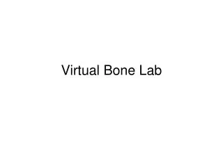 Virtual Bone Lab