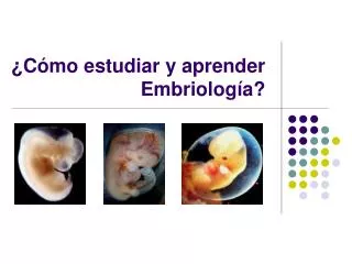 ¿Cómo estudiar y aprender Embriología?