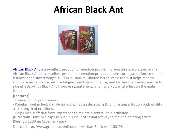 african black ant