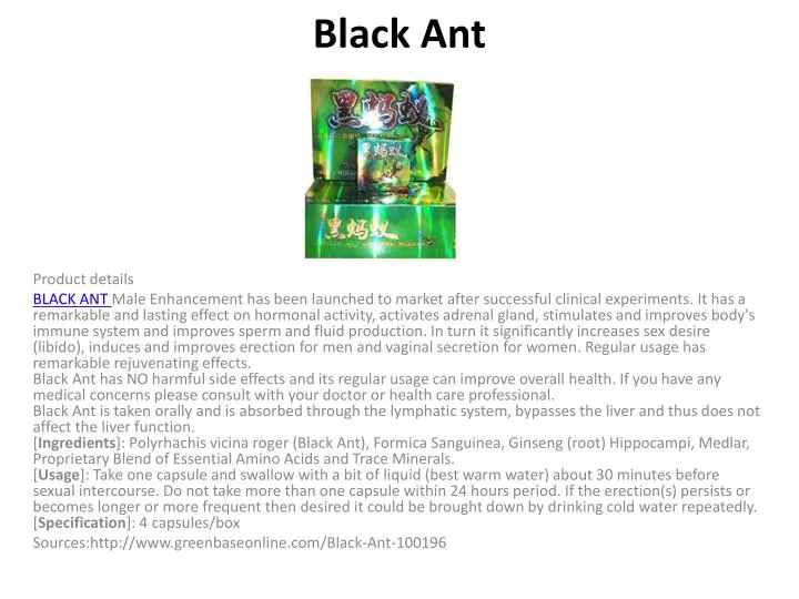 black ant