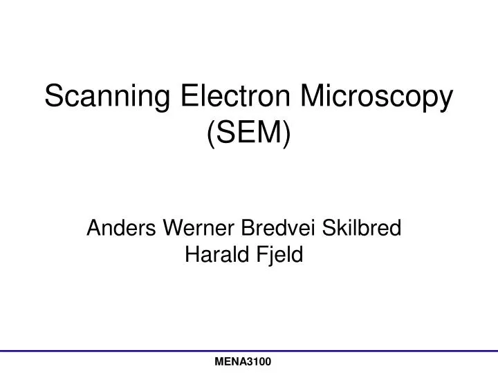 scanning electron microscopy sem