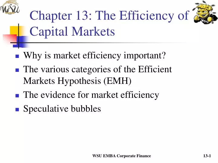 chapter 13 the efficiency of capital markets
