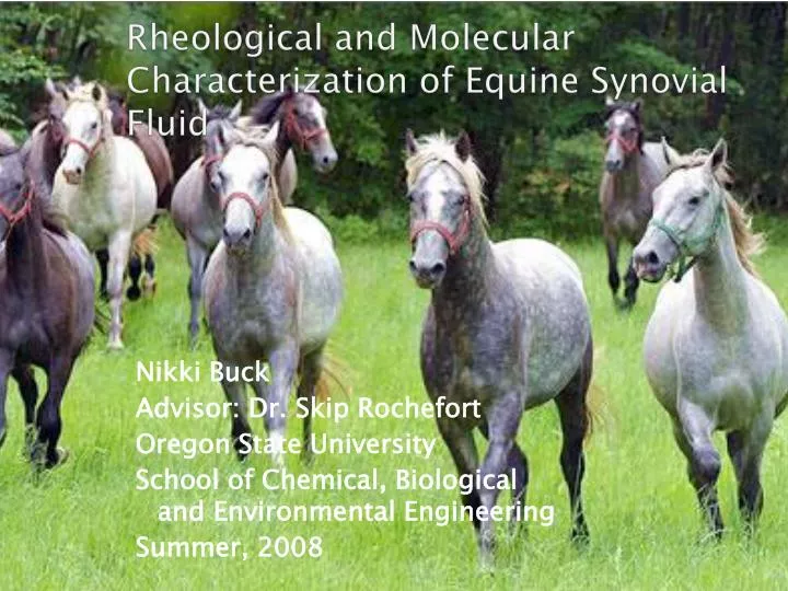 rheological and molecular characterization of equine synovial fluid