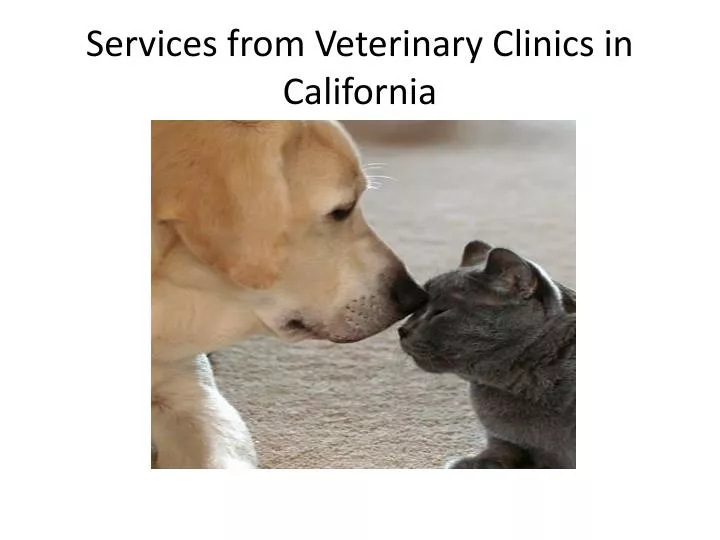 services from veterinary clinics in california
