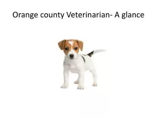 Orange county Veterinarian- A glance