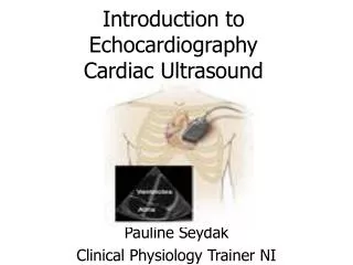 Introduction to Echocardiography Cardiac Ultrasound