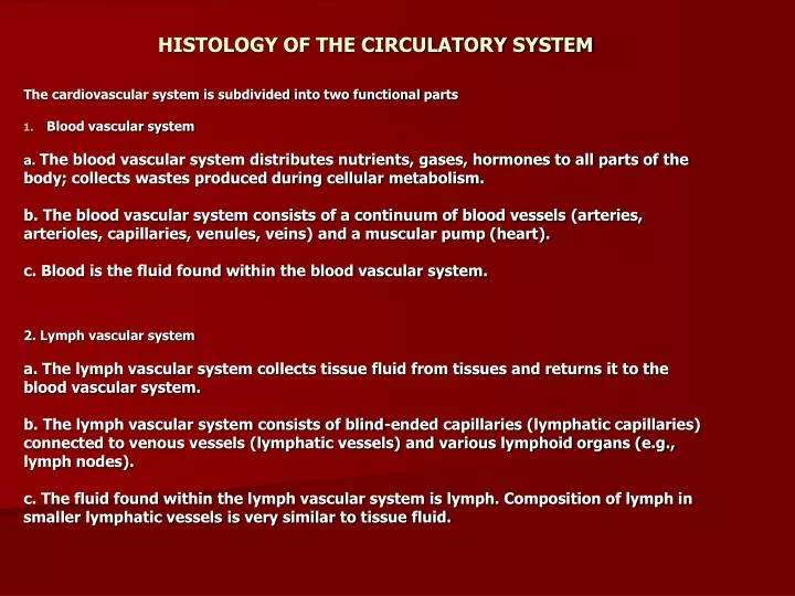 histology of the circulatory system