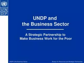 UNDP and the Business Sector