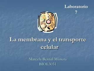 Marcela Bernal Múnera BIOL3051
