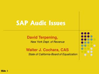 SAP Audit Issues