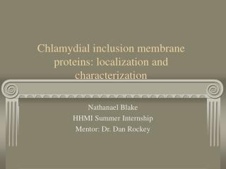 Chlamydial inclusion membrane proteins: localization and characterization