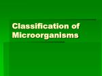 PPT - Classification Of Microorganisms PowerPoint Presentation, Free ...