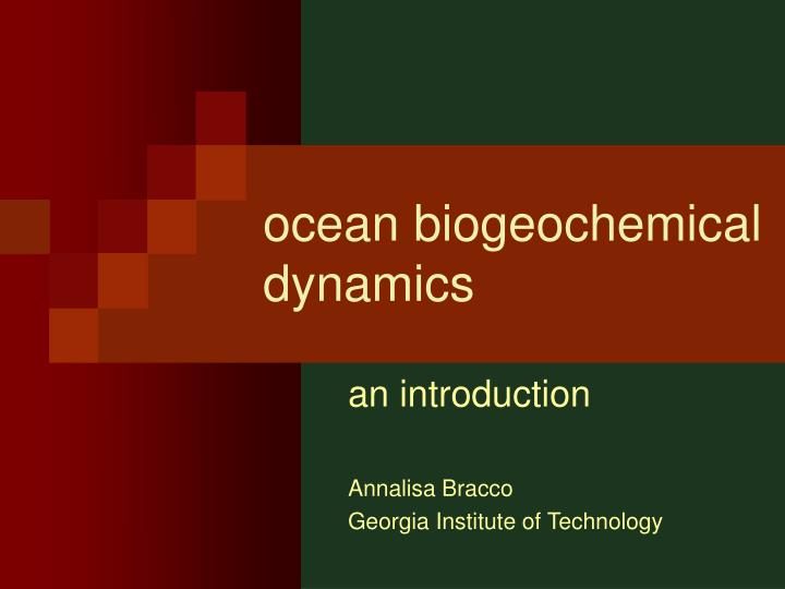 ocean biogeochemical dynamics