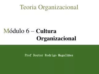 Teoria Organizacional M ódulo 6 – Cultura Organizacional Prof Doutor Rodrigo Magalhães