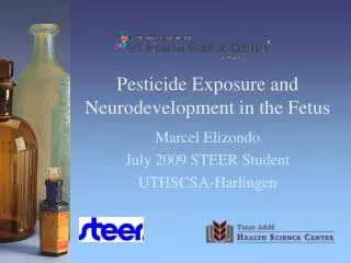 Pesticide Exposure and Neurodevelopment in the Fetus