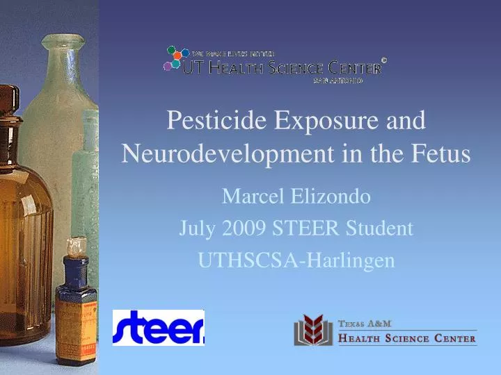pesticide exposure and neurodevelopment in the fetus