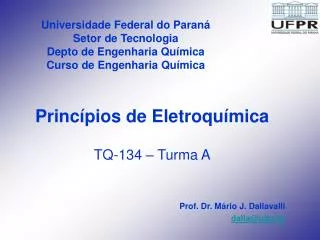 Universidade Federal do Paraná Setor de Tecnologia Depto de Engenharia Química Curso de Engenharia Química