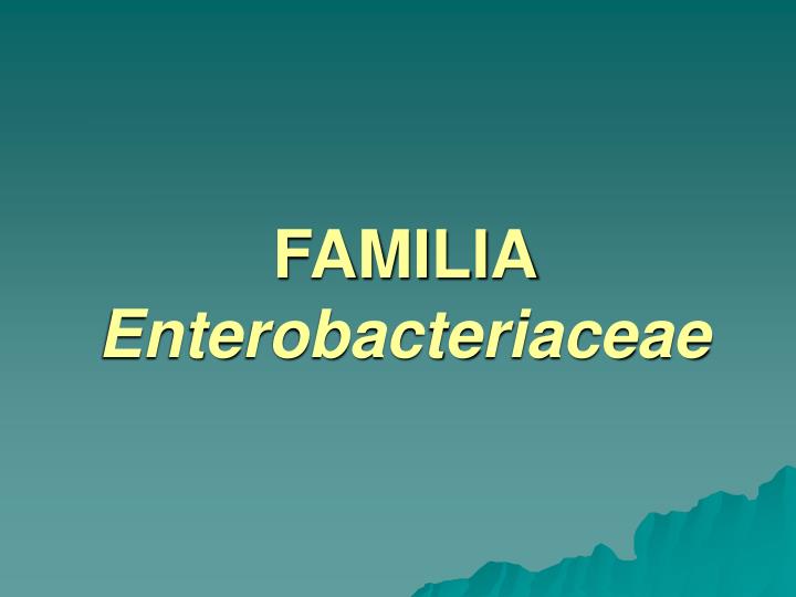 familia enterobacteriaceae
