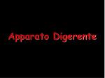 Apparato Digerente - slide 1