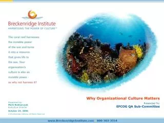 Why Organizational Culture Matters Presented To: EFCOG QA Sub-Committee