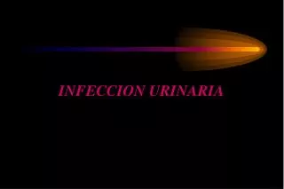 INFECCION URINARIA