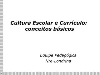 Cultura Escolar e Currículo: conceitos básicos