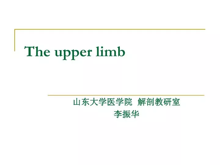 the upper limb