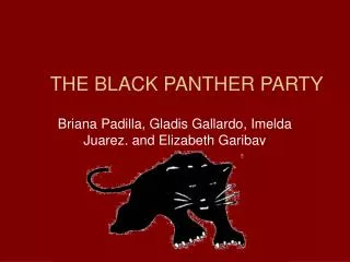 THE BLACK PANTHER PARTY