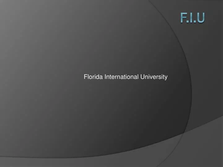 florida international university