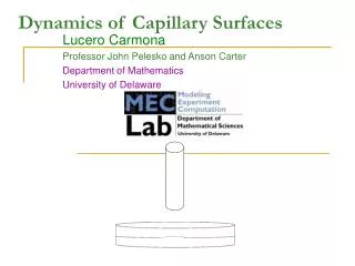 Dynamics of Capillary Surfaces
