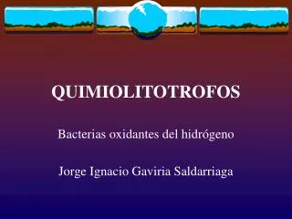 QUIMIOLITOTROFOS