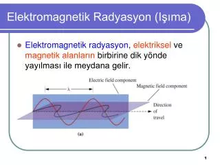 Elektromagnetik Radyasyon (Işıma)
