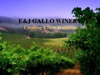 E&amp;J GALLO WINERY Creating A New Tradition