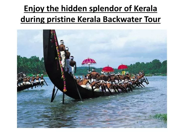 enjoy the hidden splendor of kerala during pristine kerala backwater tour