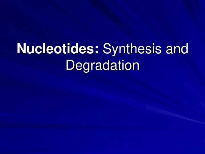 nucleotides synthesis and degradation