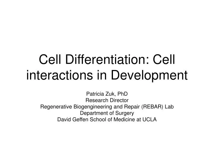 cell differentiation cell interactions in development