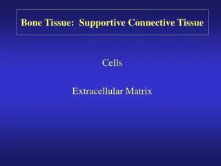 Bone Tissue: Supportive Connective Tissue