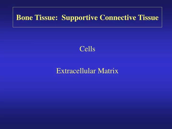 bone tissue supportive connective tissue