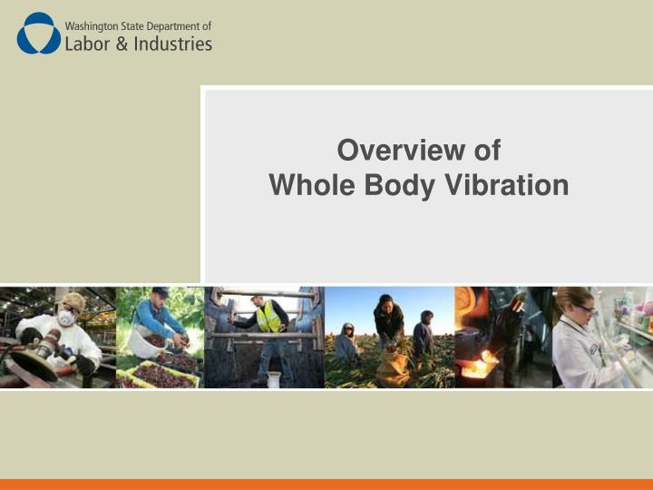overview of whole body vibration