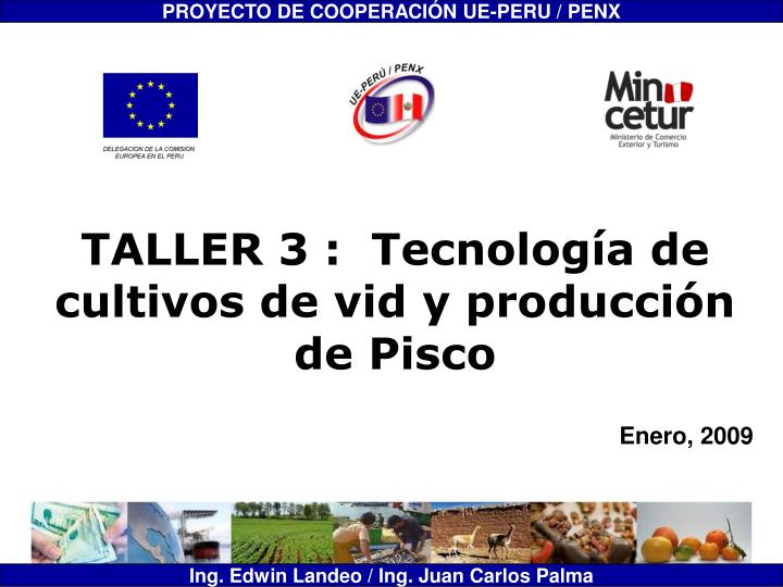 taller 3 tecnolog a de cultivos de vid y producci n de pisco