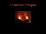 I Fenomeni Endogeni - slide 1