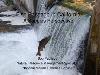 Fish Passage in California A Species Perspective