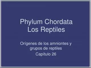 Phylum Chordata Los Reptiles