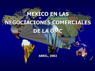 MEXICO EN LAS NEGOCIACIONES COMERCIALES DE LA OMC ABRIL, 2002