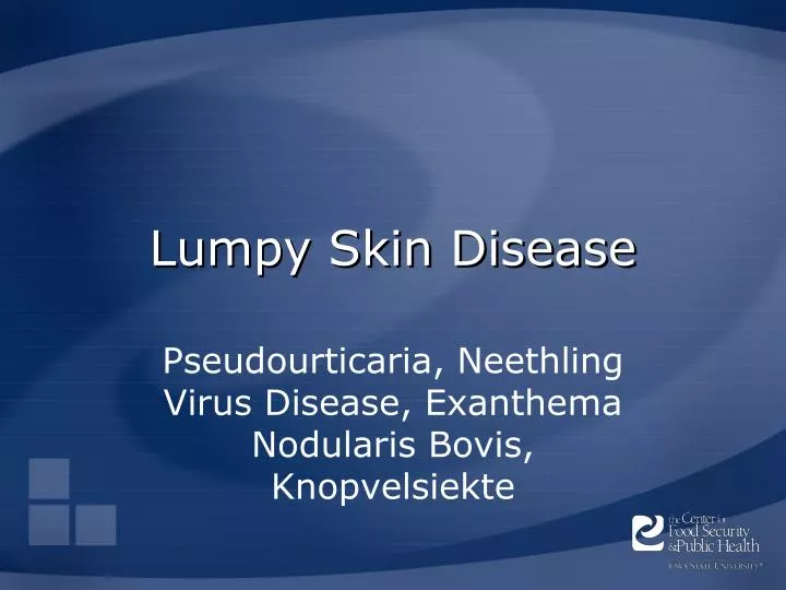 lumpy skin disease