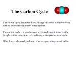 The Carbon Cycle - slide 1