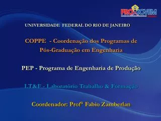 COPPE - Coordenação dos Programas de Pós-Graduação em Engenharia PEP - Programa de Engenharia de Produção LT&amp;F - L